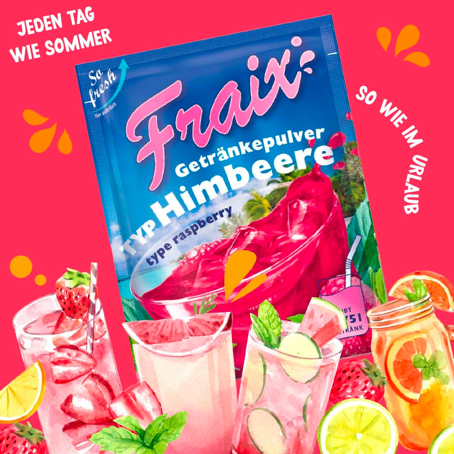 FRAIX Himbeere 50 x 100g