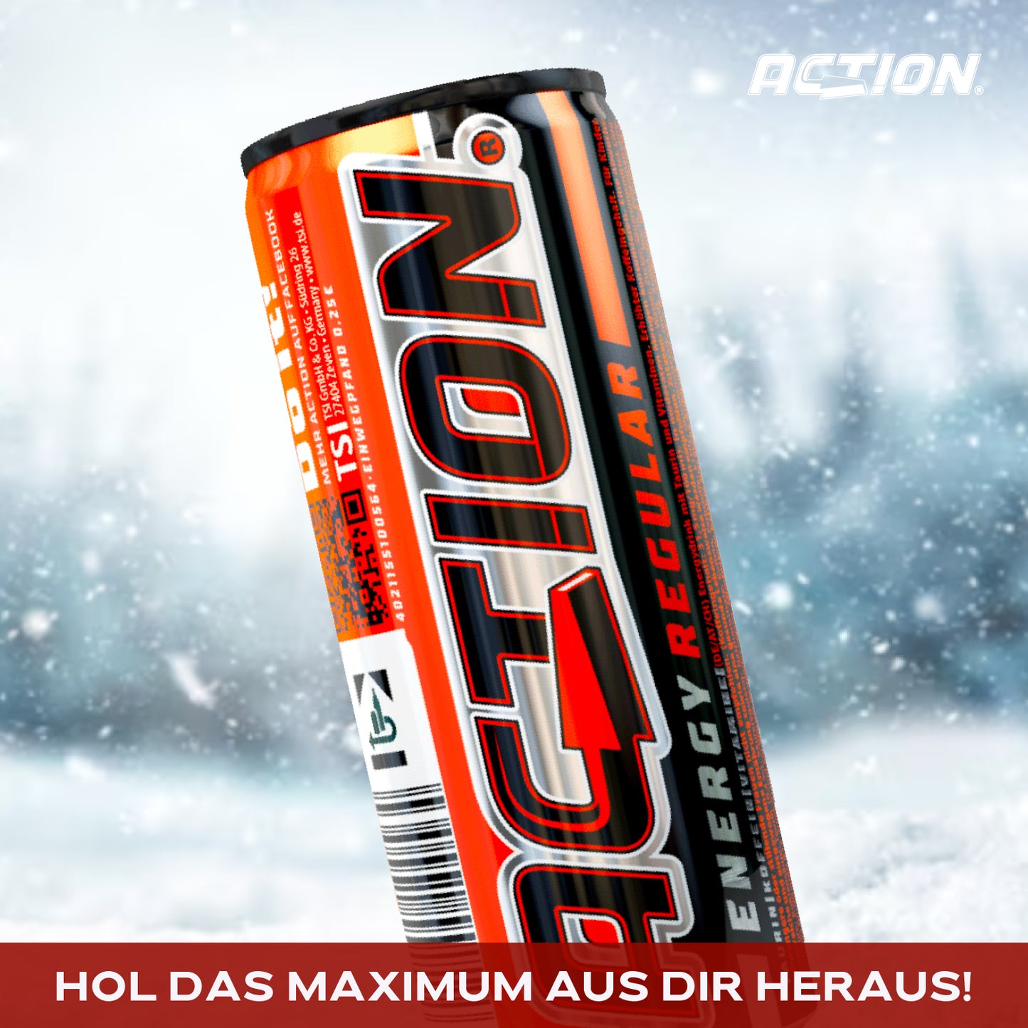 ACTION Regular - 24 x 500ml