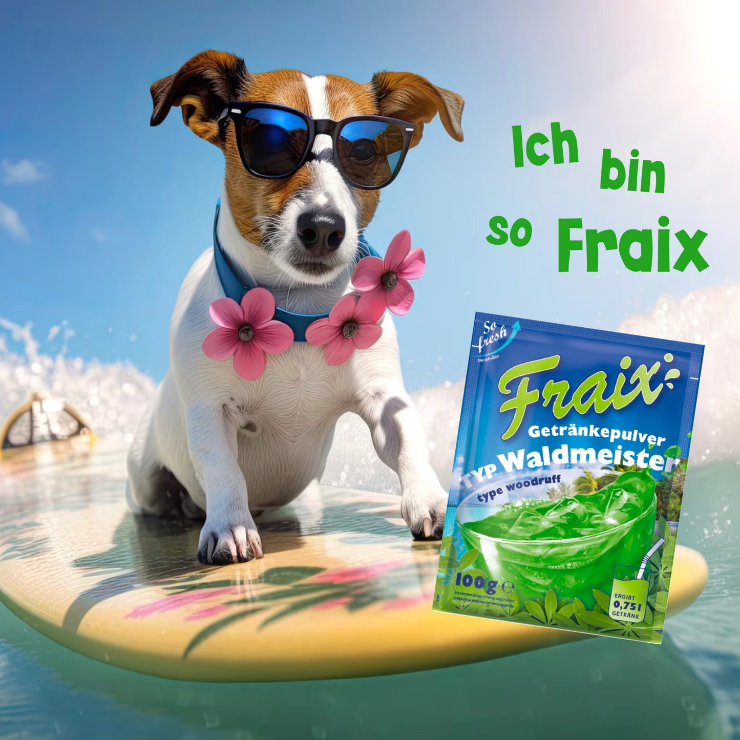 FRAIX Waldmeister 50 x 100g