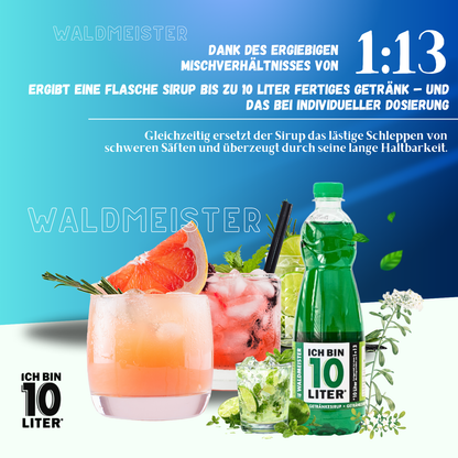 ICH BIN 10 LITER Waldmeister Sirup 6 x 0,7l