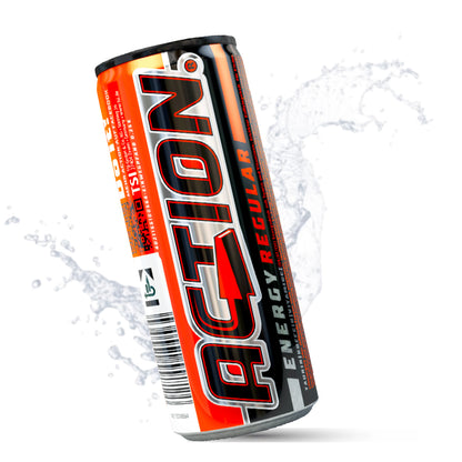 ACTION Regular - 24 x 500ml