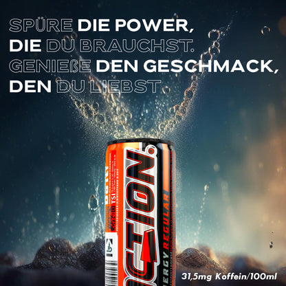 ACTION Regular - 24 x 250ml